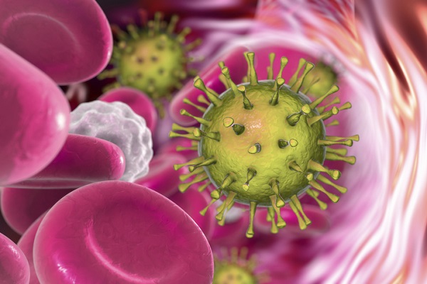 Cytomegalovirus may eventually be used to treat and prevent HIV in humans